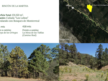 Terreno Descendente en Rincón de La Martha, San Antonio de las Alazanas, Arteaga, Coah. Lo mas Hermoso de la Sierra y Colindando con Monterreal.