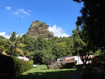 Hermosa propiedad con amplio jardín en Tepoztlán, Morelos rodeada de árboles frutales