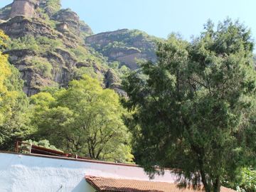 Hermosa propiedad con amplio jardín en Tepoztlán, Morelos rodeada de árboles frutales
