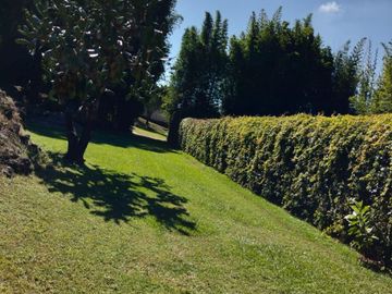 Hermosa propiedad con amplio jardín en Tepoztlán, Morelos rodeada de árboles frutales