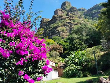 Hermosa propiedad con amplio jardín en Tepoztlán, Morelos rodeada de árboles frutales