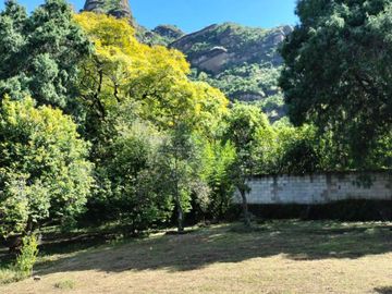 Hermosa propiedad con amplio jardín en Tepoztlán, Morelos rodeada de árboles frutales