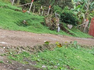 vendo linda finca en viota cumdinamarca