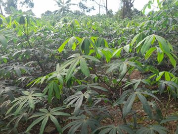 vendo linda finca en viota cumdinamarca