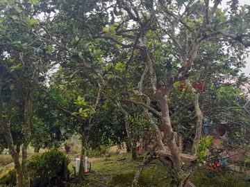 vendo linda finca en viota cumdinamarca