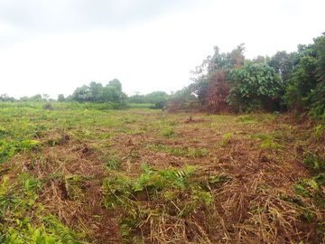 Jual Tanah 18.400 m2 di Tanjung Selor Kalimantan Utara Dekat PEMDA Bulungan