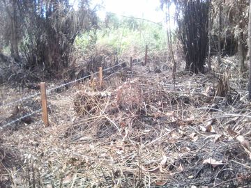Jual Tanah 18.400 m2 di Tanjung Selor Kalimantan Utara Dekat PEMDA Bulungan