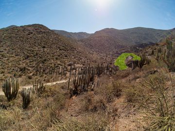 Parcelas  con agua de riego y electricidad lista para instalar. Sector La Calera, Valle del Elqui. Desde $29 millones