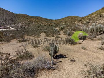 Parcelas  con agua de riego y electricidad lista para instalar. Sector La Calera, Valle del Elqui. Desde $29 millones