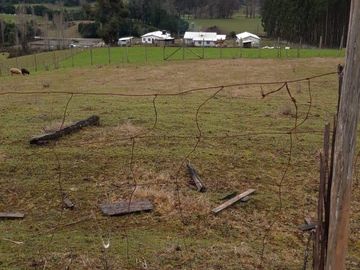 TERRENO DE 2 HÁ. CON CASA NUEVA, 