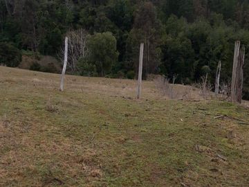 TERRENO DE 2 HÁ. CON CASA NUEVA, 