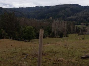 TERRENO DE 2 HÁ. CON CASA NUEVA, 
