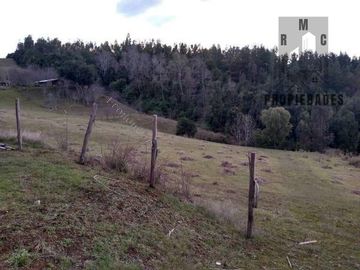 TERRENO DE 2 HÁ. CON CASA NUEVA, 
