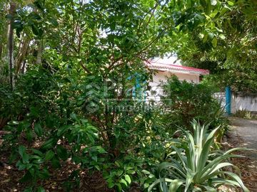 Casas Campestre en lote de 1.200 metros en Venta en Sabanilla via a Puerto Colombia