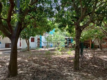 Casas Campestre en lote de 1.200 metros en Venta en Sabanilla via a Puerto Colombia