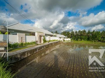 Modern 3 Bedroom Villa with Ricefield View in Ubud Bali for Sale Leasehold