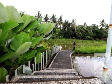 Modern 3 Bedroom Villa with Ricefield View in Ubud Bali for Sale Leasehold