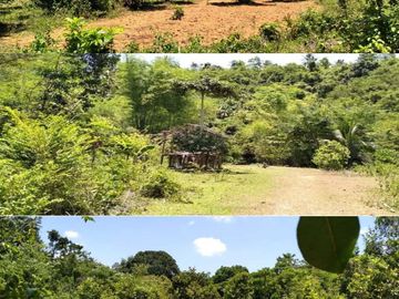 AGRI-LOT FOR SALE IN NUEVA VALENCIA, GUIMARAS