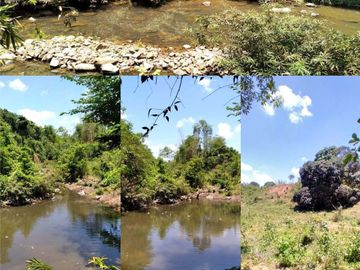 AGRI-LOT FOR SALE IN NUEVA VALENCIA, GUIMARAS