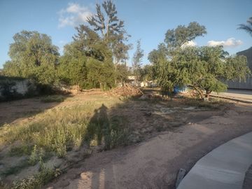 Casa en Venta, San Luis Potosí, Fraccionamiento La Florida, Zona Arbolada