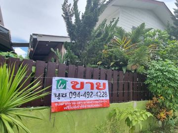 ขายบ้านเดี่ยว 2 หลัง ในพื้นที่ 200 ตร.วา อ.สันทราย เชียงใหม่