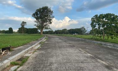 Lot in Eagle Ridge Golf & Residential Estates