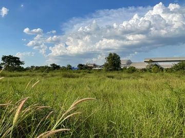 ขาย ที่ดินเปล่า 100 ตร.วา ต.คลองเจ็ด อ.คลองหลวง ปทุมธานี(ติดถนน)