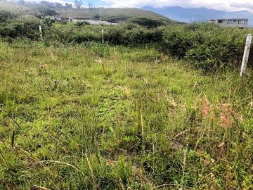 Vendo 1.000 m2 Sector Bellavista de Ibarra