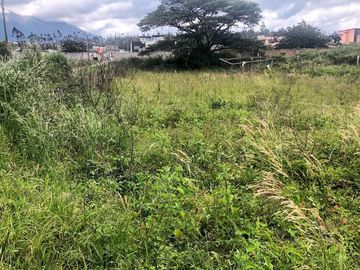 Vendo 1.000 m2 Sector Bellavista de Ibarra