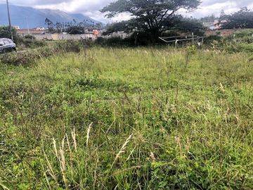 Vendo 1.000 m2 Sector Bellavista de Ibarra