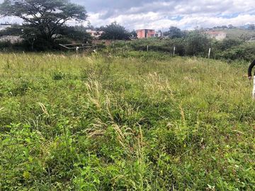 Vendo 1.000 m2 Sector Bellavista de Ibarra