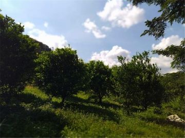 Venta - La Mesa, finca con Local Comercial sonre via San Joaquín
