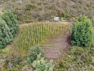 HACIENDA DE VENTA SECTOR LA PAZ - NABON