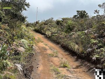 HACIENDA DE VENTA SECTOR LA PAZ - NABON