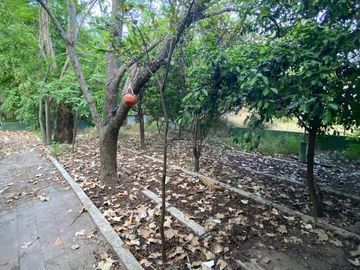 Se Vende casa Rincón de la Sierra, Guadalupe