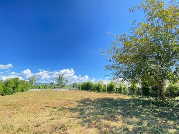 Beautiful 1 Rai plot of land for sale in Mae Faek, Mae Jo