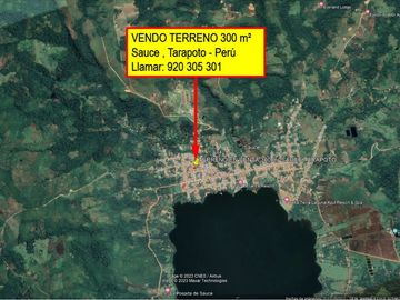 VENDO TERRENO EN LAGUNA AZUL, SAUCE, TARAPOTO, SAN MARTIN 300 m²