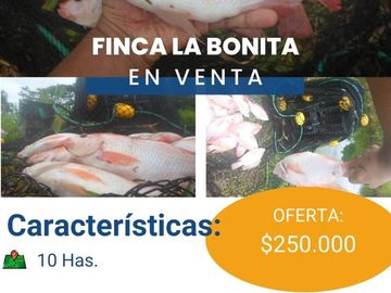 FINCA LA BONITA DE VENTA EN PALORA-MORONA SANTIAGO