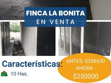 FINCA LA BONITA DE VENTA EN PALORA-MORONA SANTIAGO