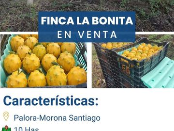 FINCA LA BONITA DE VENTA EN PALORA-MORONA SANTIAGO