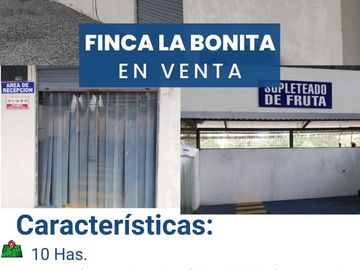 FINCA LA BONITA DE VENTA EN PALORA-MORONA SANTIAGO