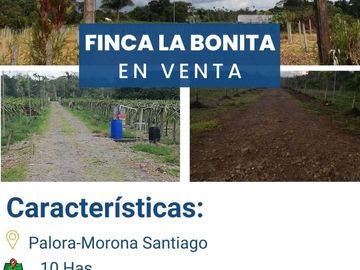 FINCA LA BONITA DE VENTA EN PALORA-MORONA SANTIAGO