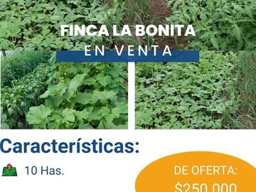 FINCA LA BONITA DE VENTA EN PALORA-MORONA SANTIAGO
