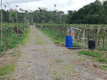 FINCA LA BONITA DE VENTA EN PALORA-MORONA SANTIAGO