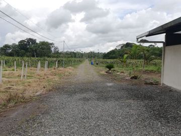 FINCA LA BONITA DE VENTA EN PALORA-MORONA SANTIAGO