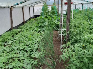 FINCA LA BONITA DE VENTA EN PALORA-MORONA SANTIAGO
