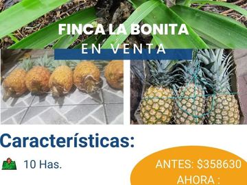 FINCA LA BONITA DE VENTA EN PALORA-MORONA SANTIAGO