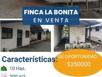FINCA LA BONITA DE VENTA EN PALORA-MORONA SANTIAGO