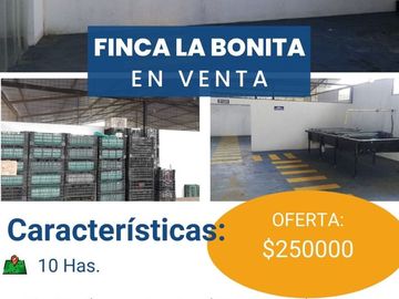 FINCA LA BONITA DE VENTA EN PALORA-MORONA SANTIAGO