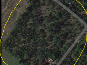 28,000 sqm Farm Lot For Sale/Rent at Sta. Ana San Pablo City Laguna